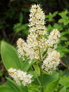 20100716_250shuusei.jpg