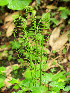 20100716_252shuusei.jpg