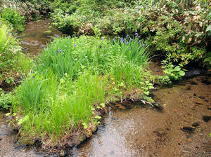 20100716_251shuusei.jpg