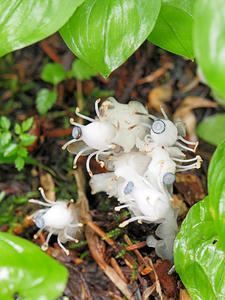 20100716_255shuusei.jpg