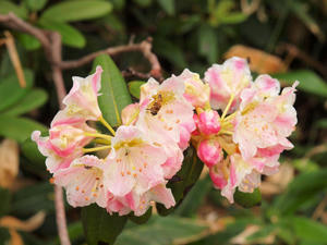 20100716_263shuusei.jpg