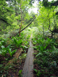 20100716_292shuusei.jpg