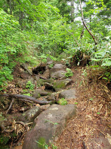 20100716_295shuusei.jpg