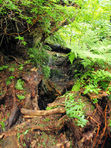 20100716_311shuusei.jpg