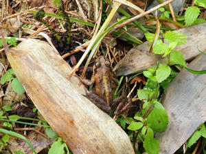 20100716_318shuusei.jpg
