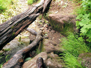 20100716_324shuusei.jpg