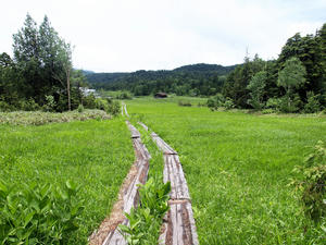 20100716_326shuusei.jpg