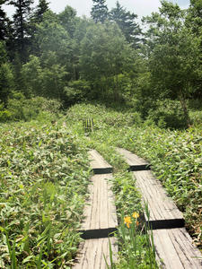 20100716_333shuusei.jpg