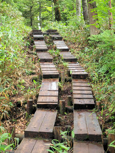 20100716_344shuusei.jpg