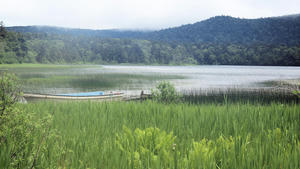 20100716_332shuusei.jpg