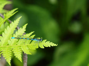 20100716_363shuusei.jpg