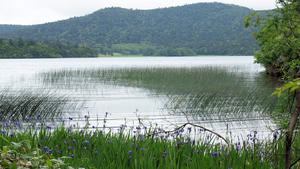 20100716_377shuusei.jpg