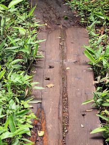 20100716_391shuusei.jpg