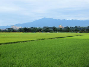 20100815_417shuusei.jpg