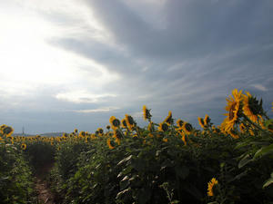 20100815_439shuusei.jpg
