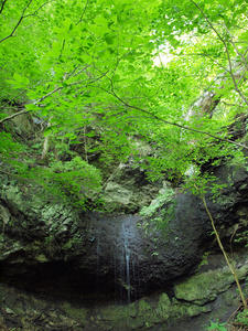 20100728_12shuusei.jpg