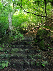 20100728_16shuusei.jpg