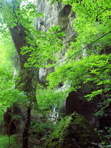 20100728_20shuusei.jpg