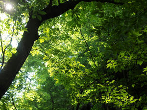 20100728_26shuusei.jpg