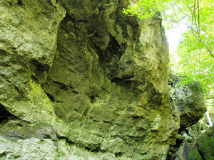 20100728_32shuusei.jpg
