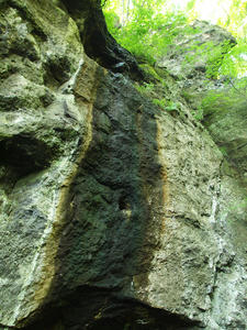 20100728_44shuusei.jpg