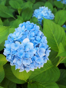 20100728_127shuusei.jpg