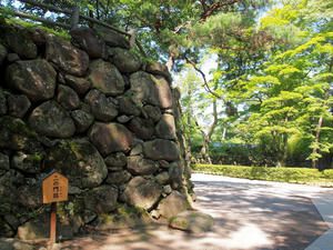 20100728_130shuusei.jpg