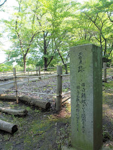 20100728_132shuusei.jpg