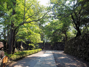 20100728_134shuusei.jpg