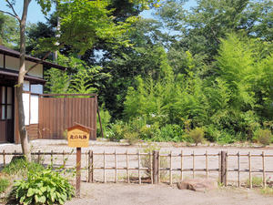 20100728_136shuusei.jpg