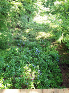 20100728_142shuusei.jpg