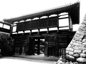 20100728_124shuusei.jpg
