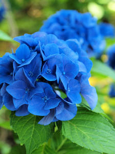 20100728_160shuusei.jpg