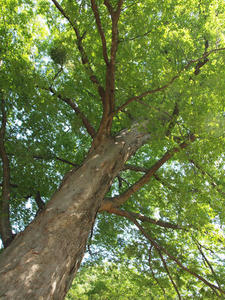 20100728_165shuusei.jpg
