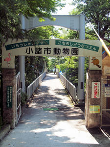 20100728_182shuusei.jpg