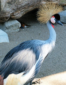 20100728_202shuusei.jpg