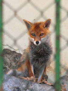 20100728_218shuusei.jpg