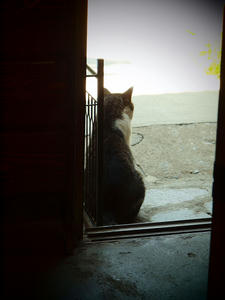 20100728_225shuusei.jpg