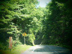 20100728_231shuusei.jpg