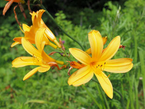 20100728_235shuusei.jpg