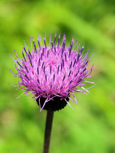 20100728_248shuusei.jpg