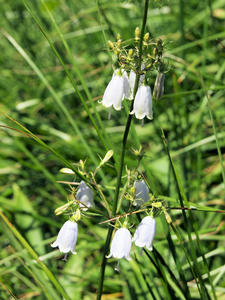 20100728_252shuusei.jpg