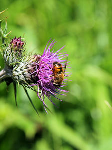 20100728_253shuusei.jpg