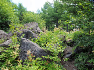 20100728_258shuusei.jpg