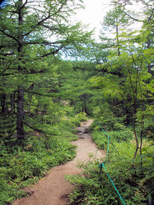 20100728_261shuusei.jpg