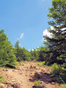 20100728_264shuusei.jpg