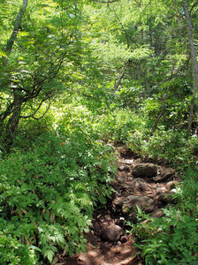 20100728_271shuusei.jpg
