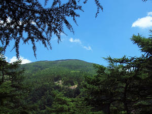 20100728_287shuusei.jpg
