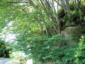 20100728_333shuusei.jpg
