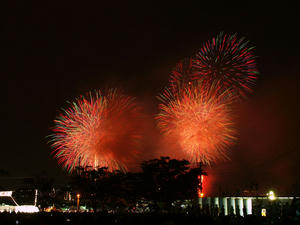 20100815_839shuusei.jpg
